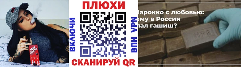 ГАШ Premium  Михайлов 