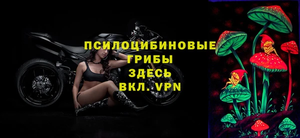 ешки Бугульма