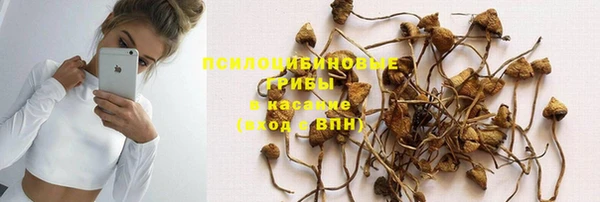 ешки Бугульма