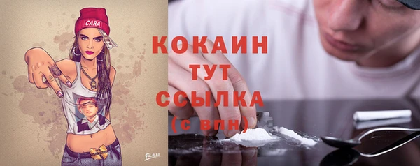 экстази Бородино