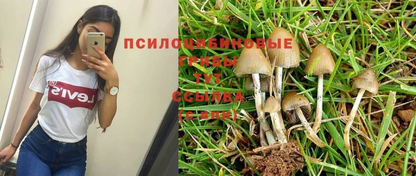 ешки Бугульма