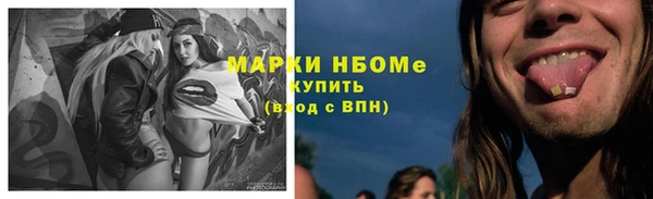 экстази Бородино