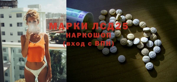 экстази Бородино