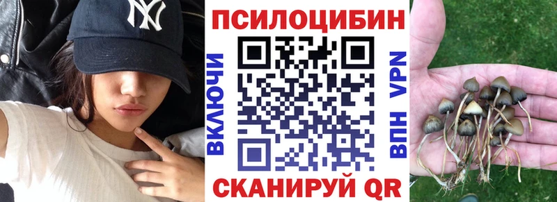 Псилоцибиновые грибы ЛСД  Михайлов 